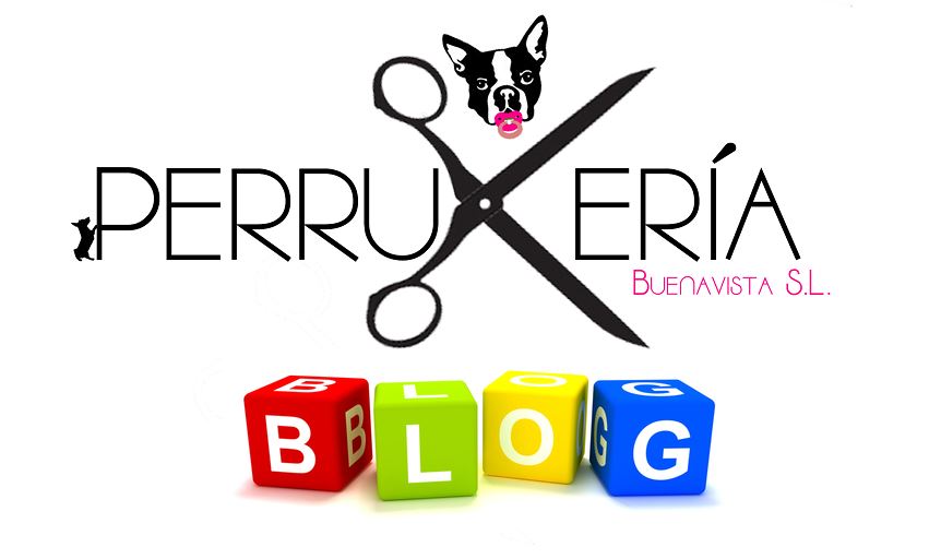 BLOG PERRUKERIA BUENAVISTA