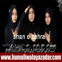 http://www.nohaypk.com/2013/10/shan-e-zehra-nohay-2014.html