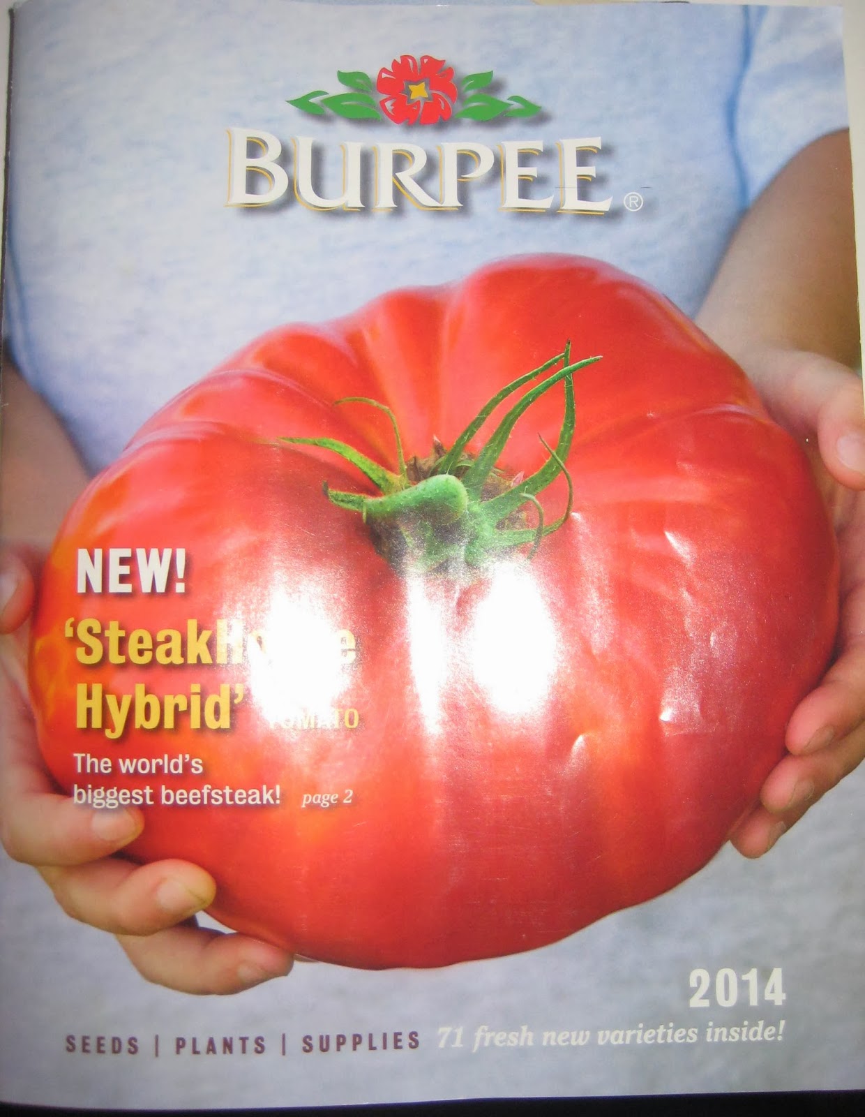 Catalog profile 4 Burpee Susan's in the Garden