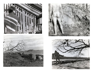 Contact Sheet / The Male Nude