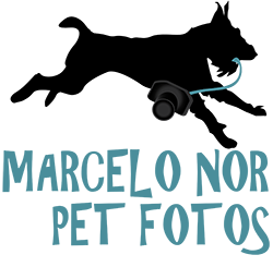 Marcelo Nor Pet Fotos