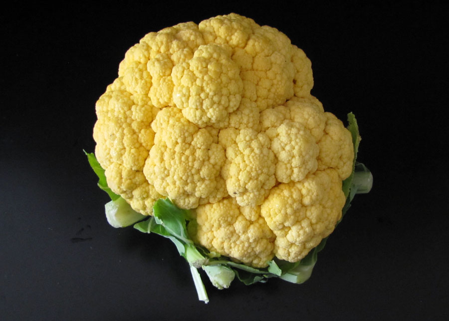 Smells Like Food in Here Nature's Reward Orange Cauliflower