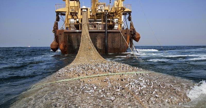 Somalia dan Sudan mau berguru berantas Maling ikan ke Menteri Susi | Mr