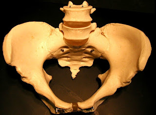 MBBS Medicine (Humanity First): March 2012