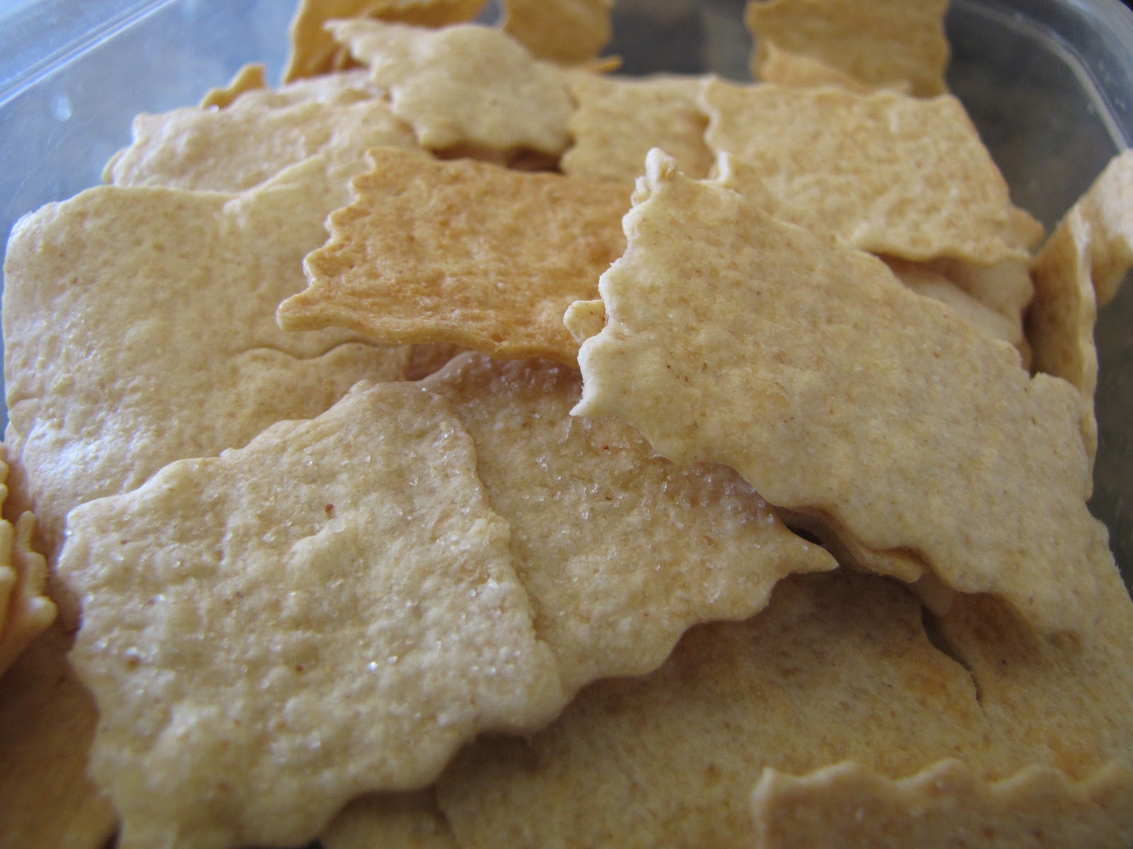 PREPARE TODAY Homemade Crackers
