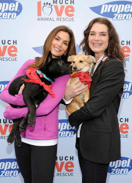 Brooke Shields and pet dogs