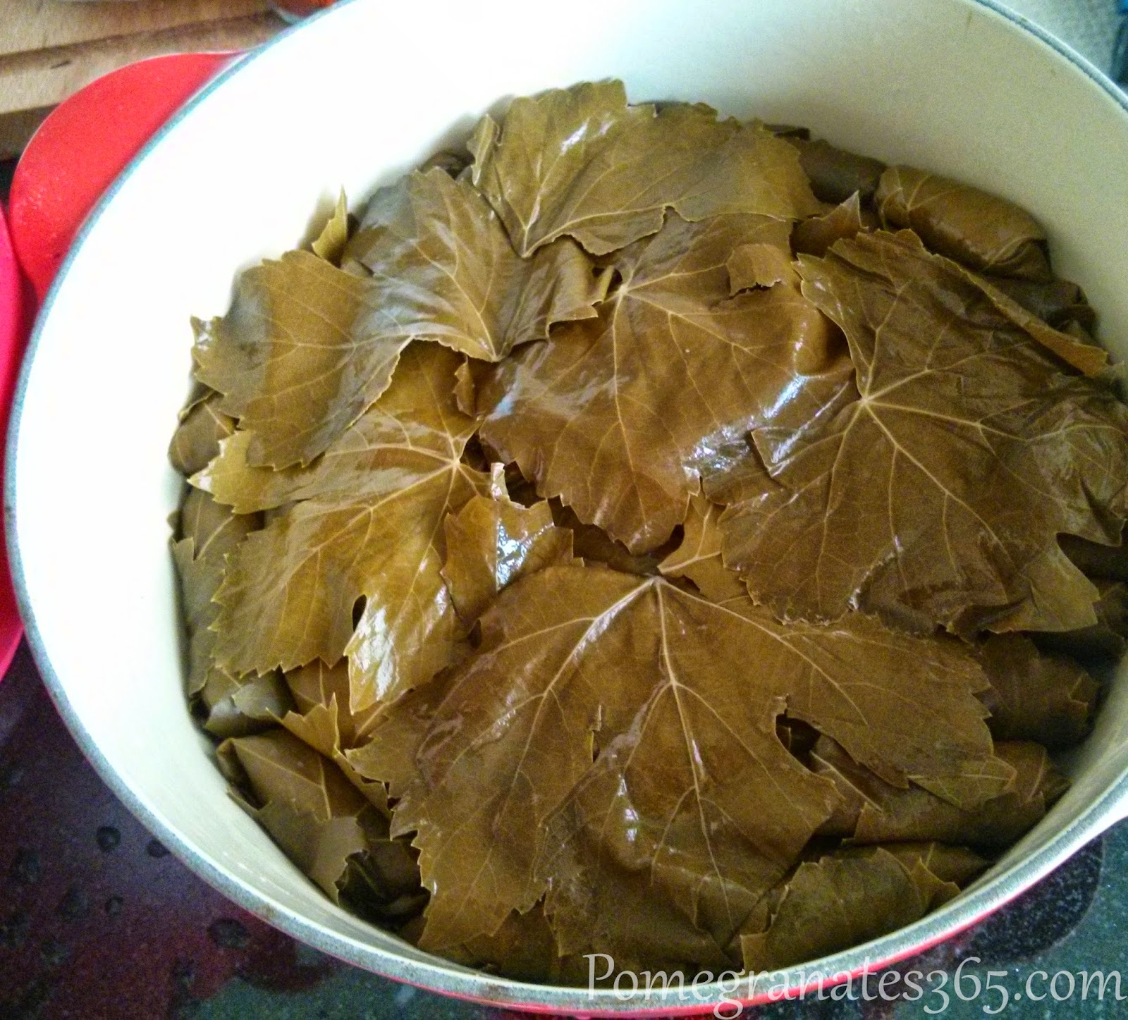 grape leaves covering top layer of tolmas