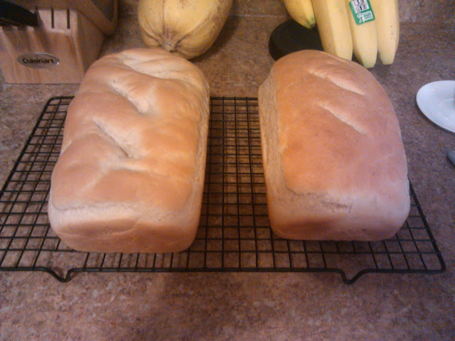 bread from scratch home made bread