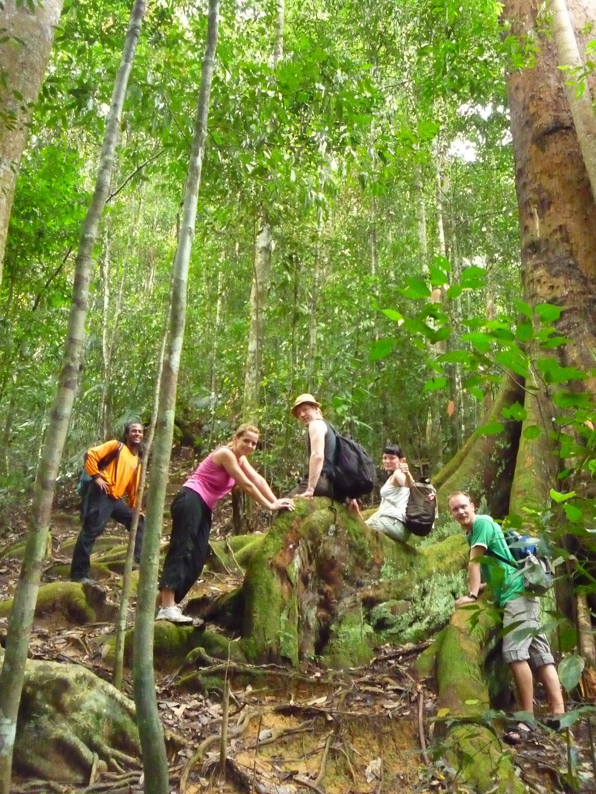 JUNGLE TREKKING(expedition adventure jungle track in bukit lawang) EXPEDITION ADVENTURE IN