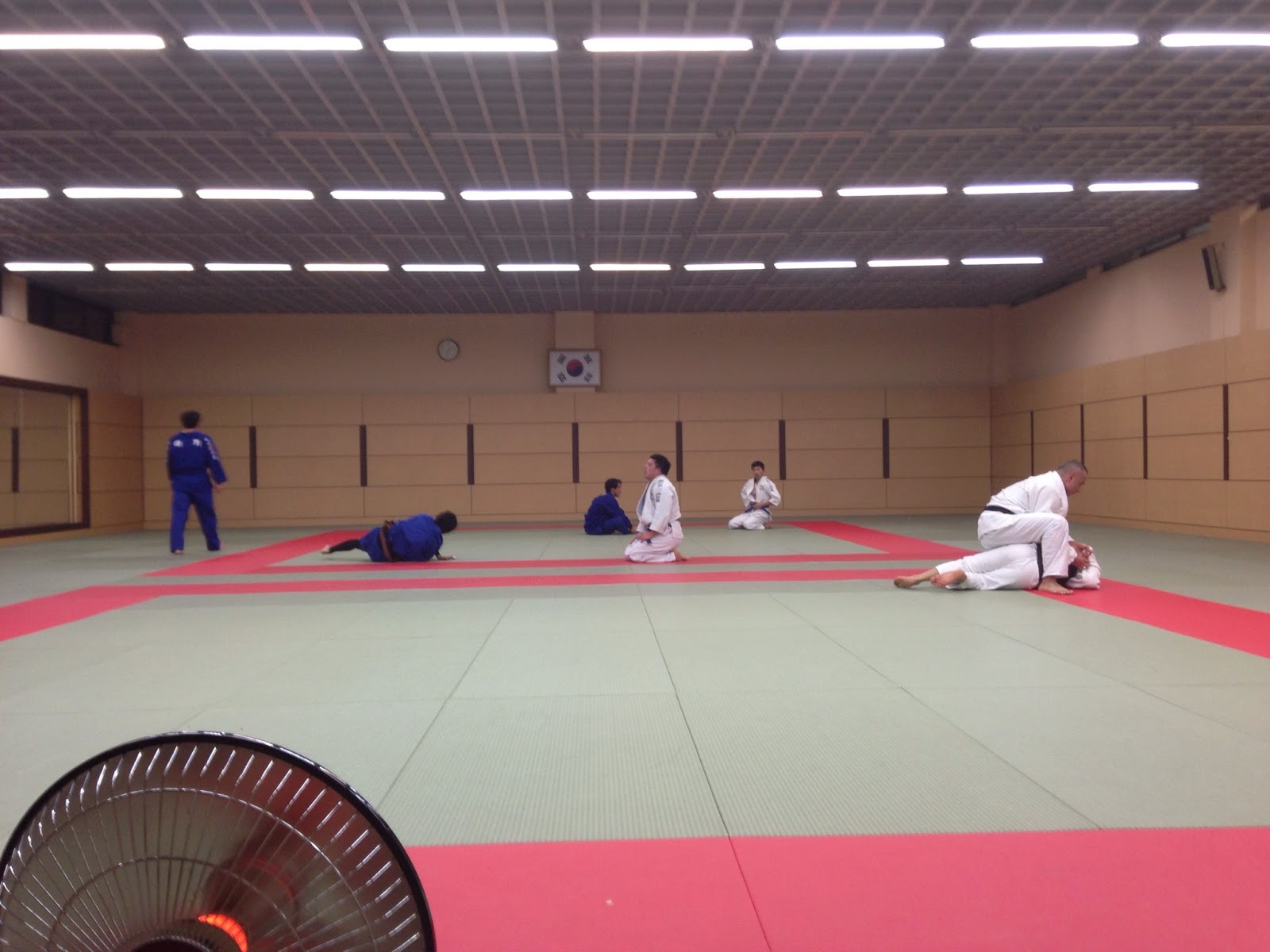 Mannam Judo Sweeping hip throw (Harai goshi) video filmed by Mannam