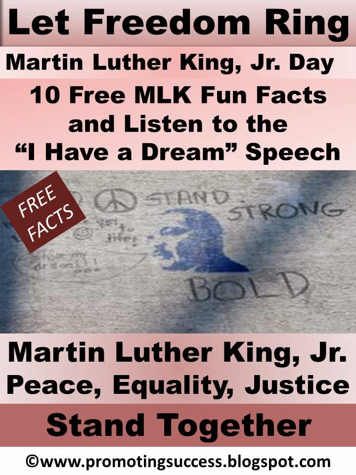 Martin Luther King Jr Teachers Pay Teachers Promoting-Success