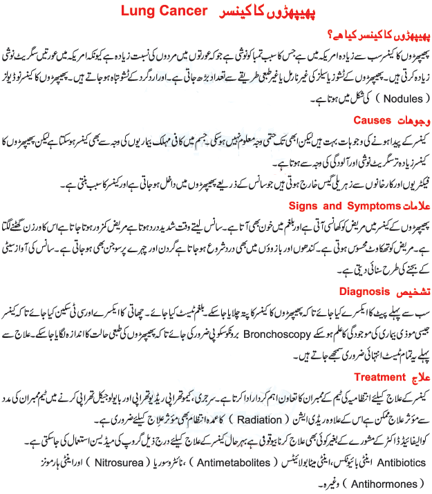 definition essay on cancer definition essay on cancer