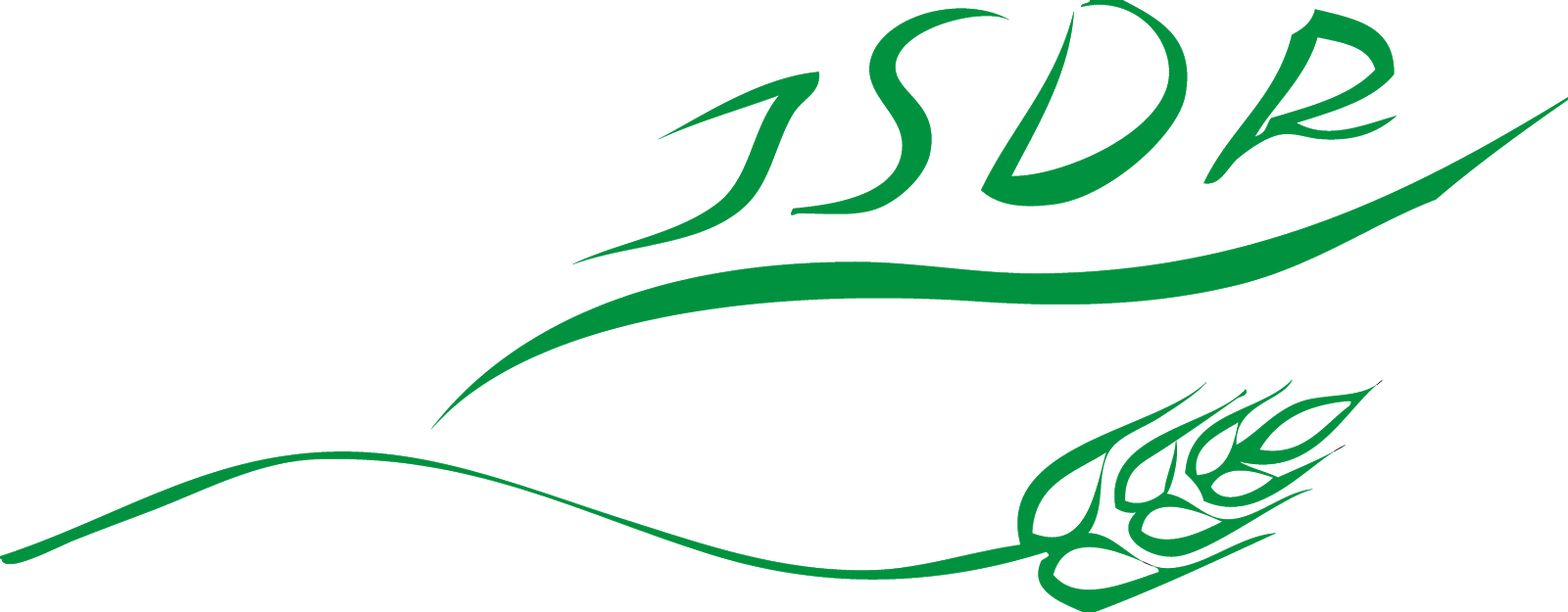 JSDR Logo