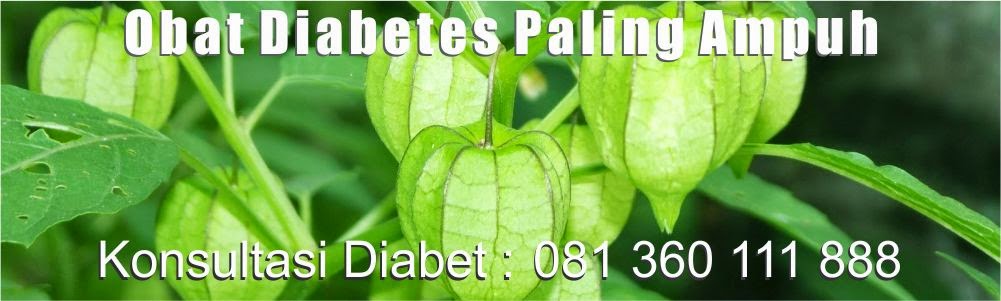  Obat Diabetes, Herbal Diabetes, Obat Herbal Diabets, Obat Diabetes Alami