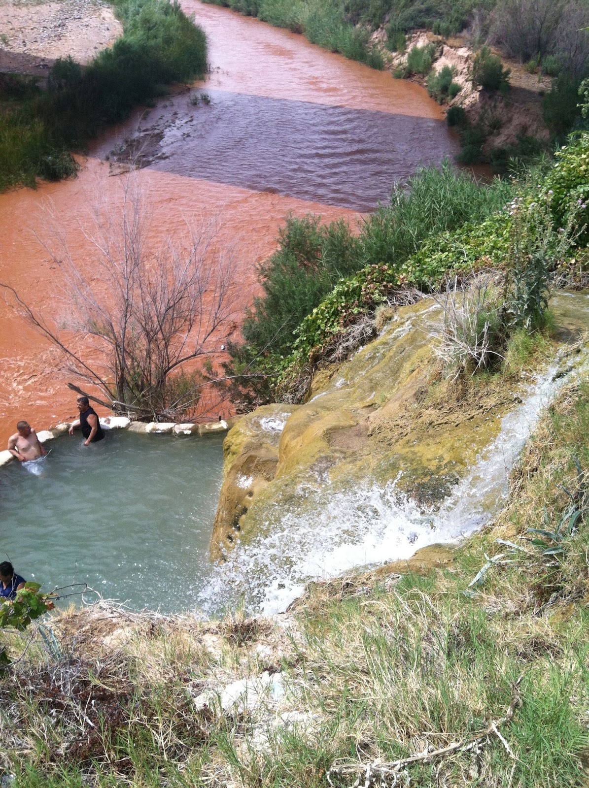 Us and Our Brave Littles Little Jamaica