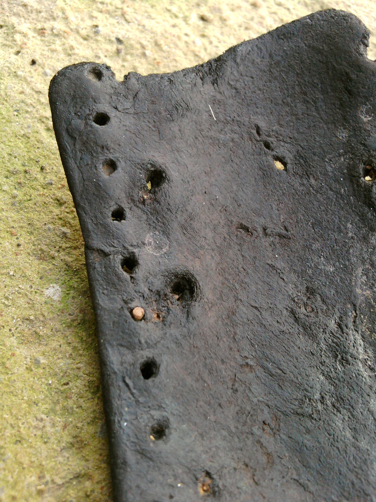 Hannah Lamb Things with holes in