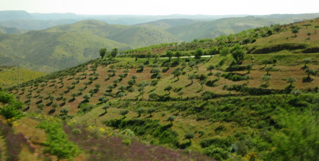 australie rencontrer des gens