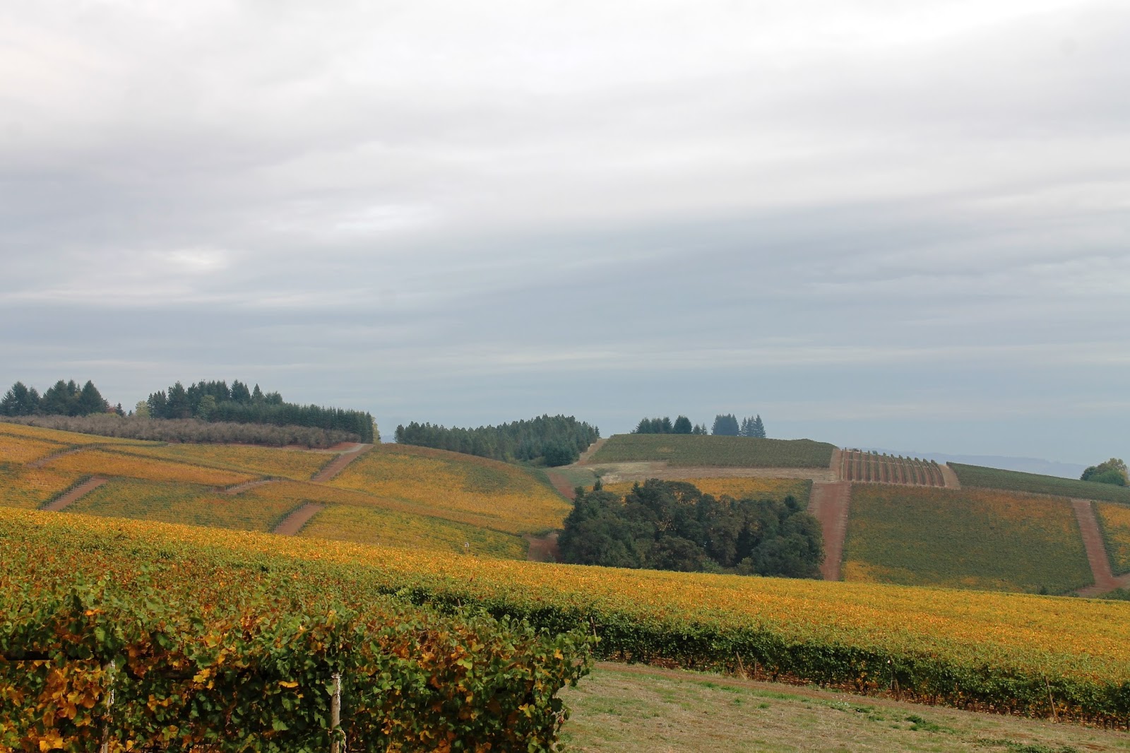 Indulge Inspire Imbibe Willamette Valley Dundee Wineries