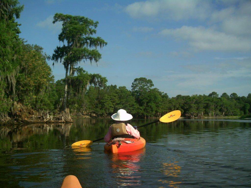 Roger's Florida Kayaking the St. Johns River in Florida