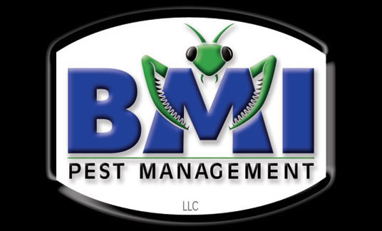 Popular Logos: BMI Logo Pictures