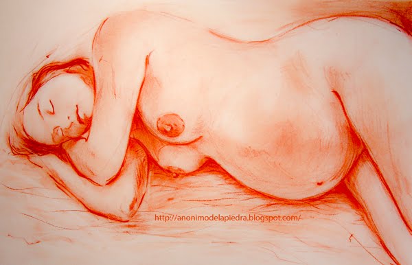 Cuerpo Humano Femenino Embarazada
