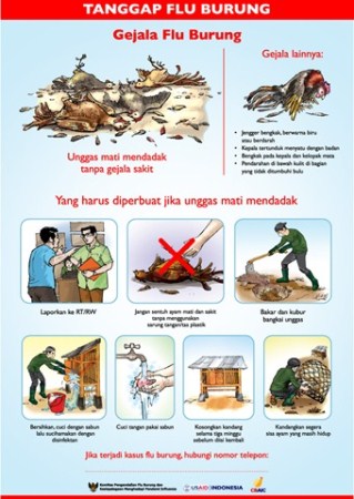 Gambar Gejala Flu Burung