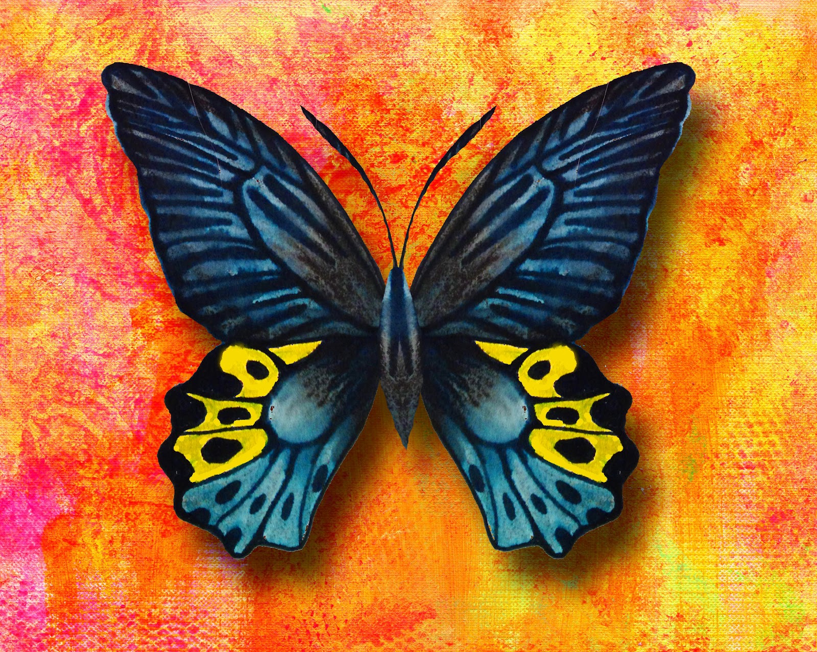 the wings of butterfly and birds are