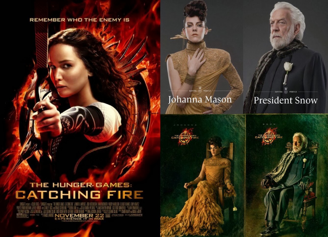 THE HUNGER GAMES: CATCHING FIRE Full Victors Banner