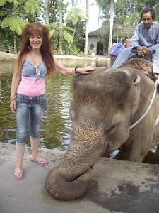 ELEPHANT SAFARI PARK, TARO.  PETTING THE ELLIE!