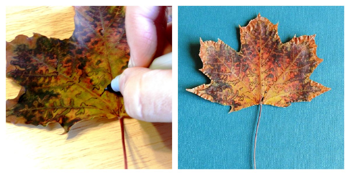 Grow Creative Blog Not Your Average Dried Leaf