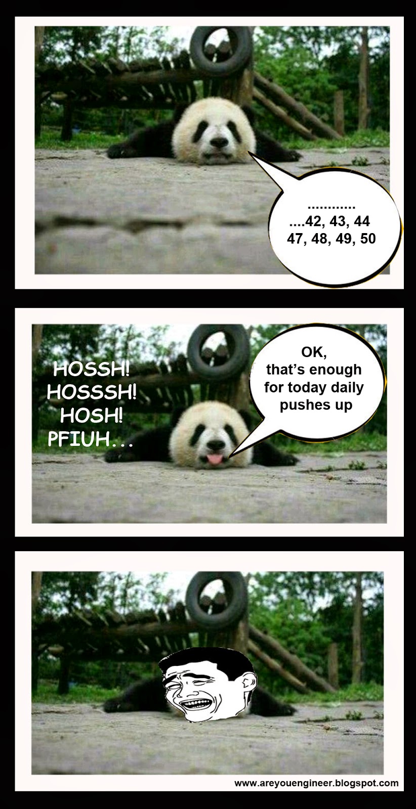 panda push up