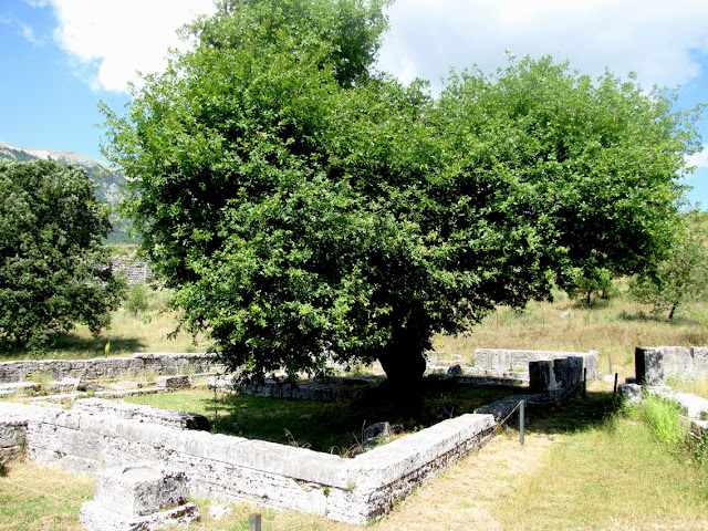Dodona, Templo de Zeus Dodona, Templo de Zeus