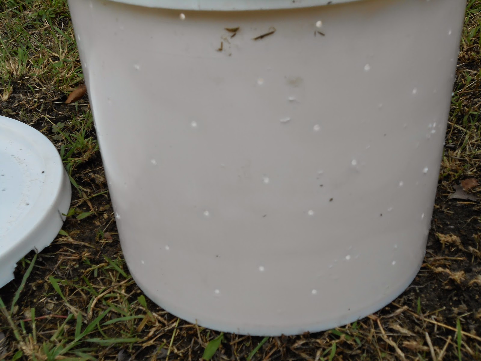 My Tropical Organic Garden Homemade Bin Design