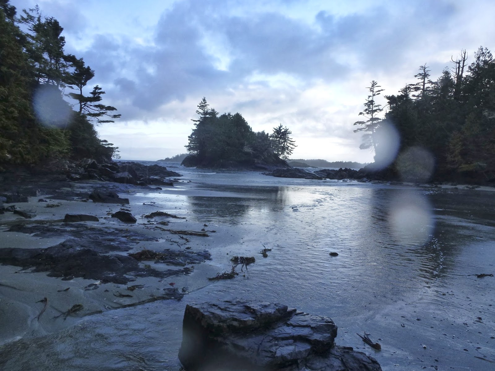 Janice Robertson's art Tofino Trip