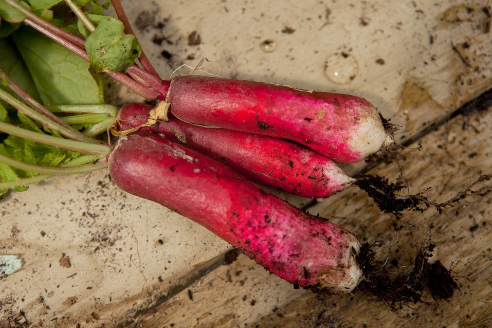 Restaurant Forty One