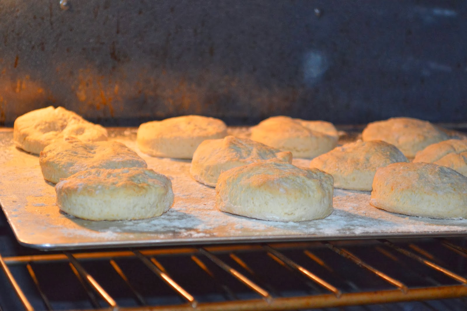 the Experimental Spoon Biscuits & Gravy