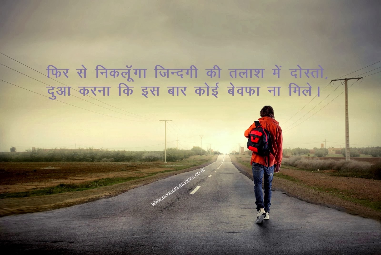 download in search of true love download in search of true love