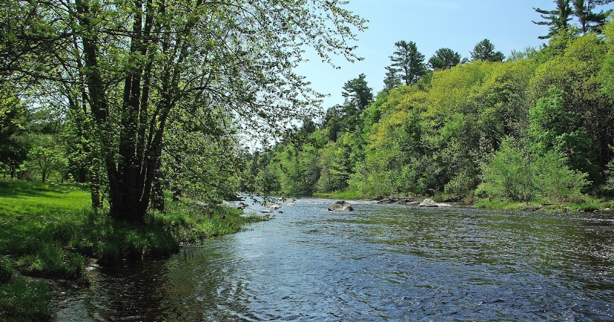 Hiking in Maine with Kelley 5/20/12 Kenduskeag Stream Trail