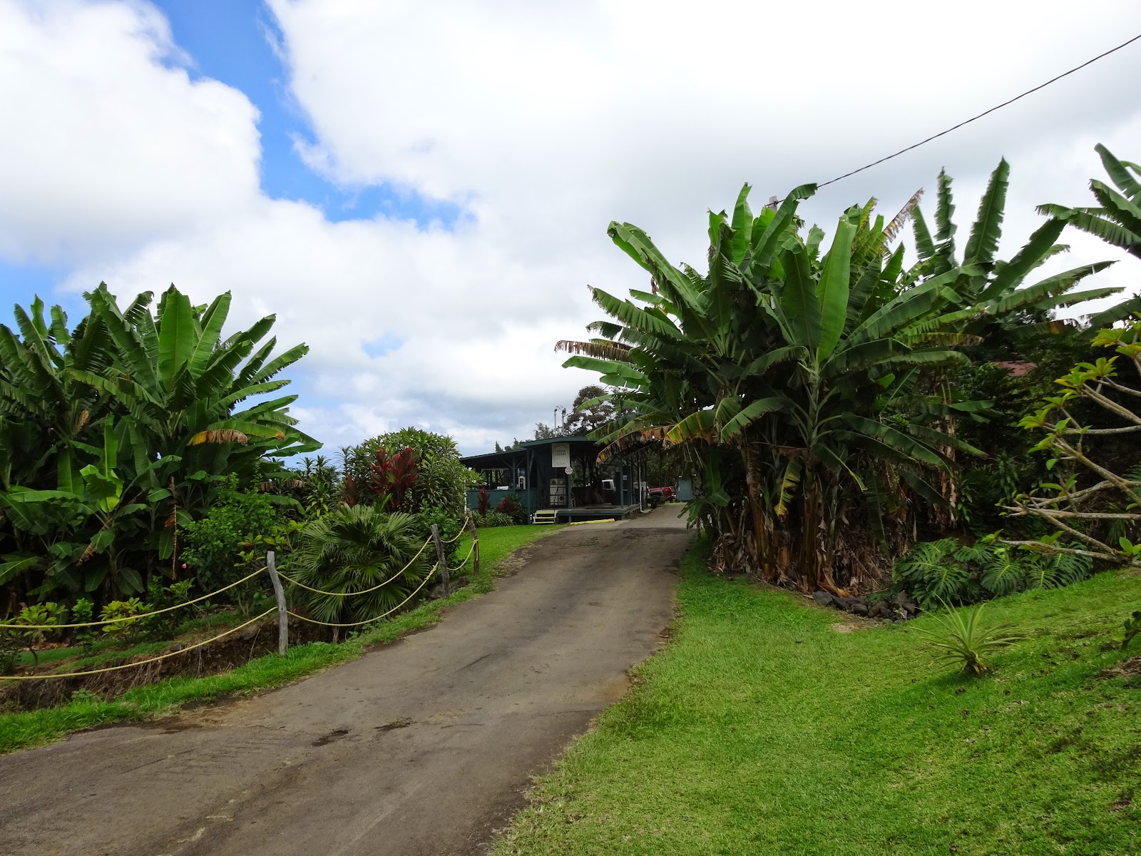 Goth Gourmande: Greenwell Coffee Farms, Kona Hawaii