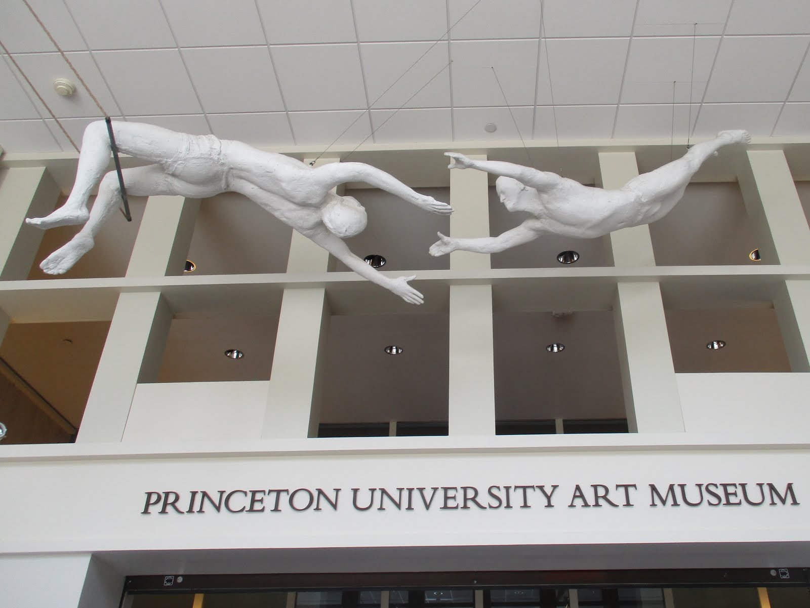 PRINCETON UNIVERSITY ART MUSEUM