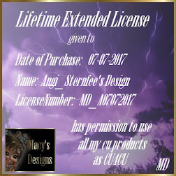 Lifetime Extended License