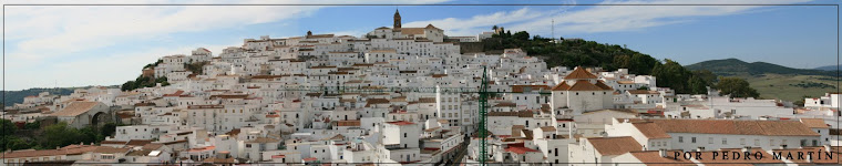 PANORÁMICA ALCALÁ DE LOS GAZULES