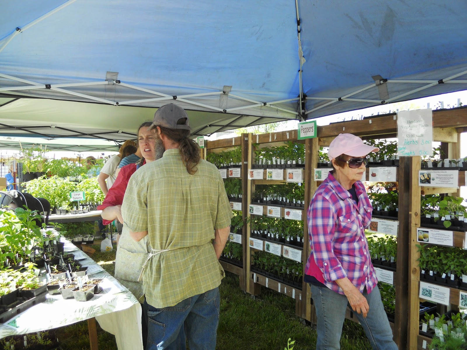 I AM Buddy, The BUDDHA From Mississippi ™ Baker Creek Heirloom Seeds