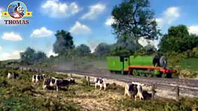 Thomas and friends number 3 Henry the tank engine castle flagpole in the farmyard cow grass field
