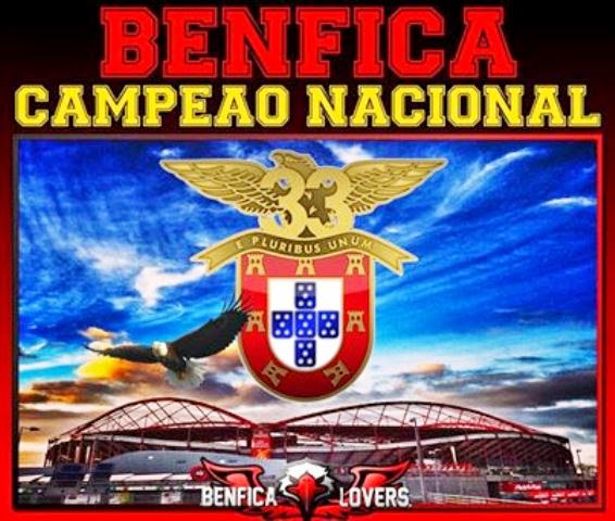 Campeão Nacional 2014