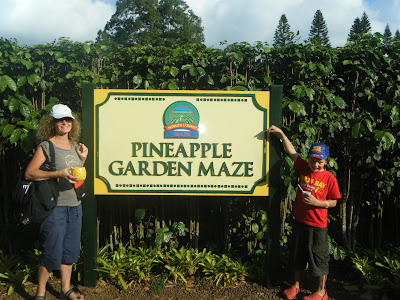 Pineapple garden maze