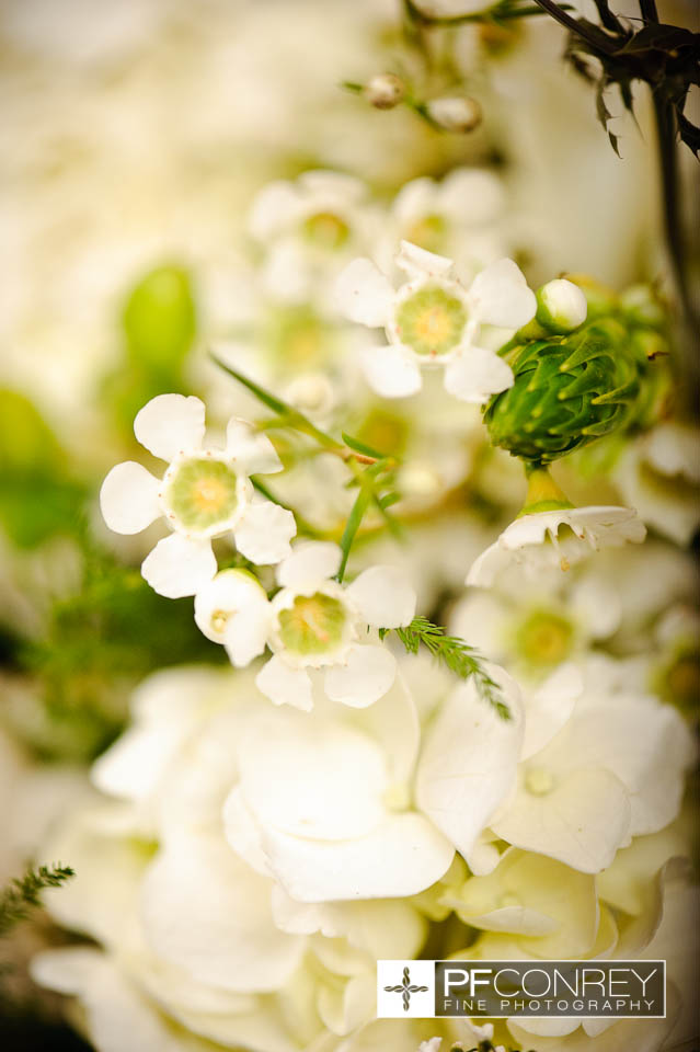 Memphis Wedding Photographer Memphis Wedding Photographer