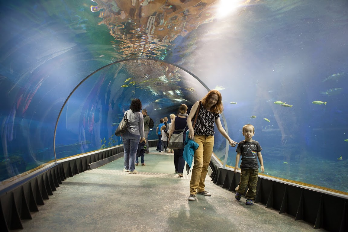 oceanarium wrocaw zoo oceanarium wrocaw zoo
