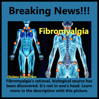 Fibromyalgia-scientific-discovery-excessive-nerve-fibers