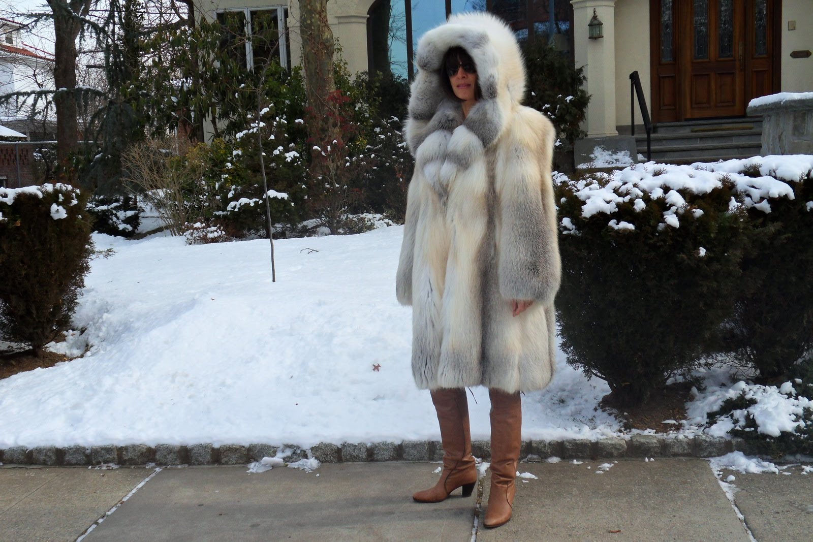 Fox Coat